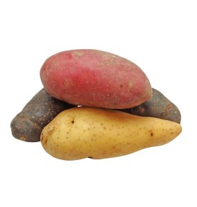 aardappelen red star pas fruitiers